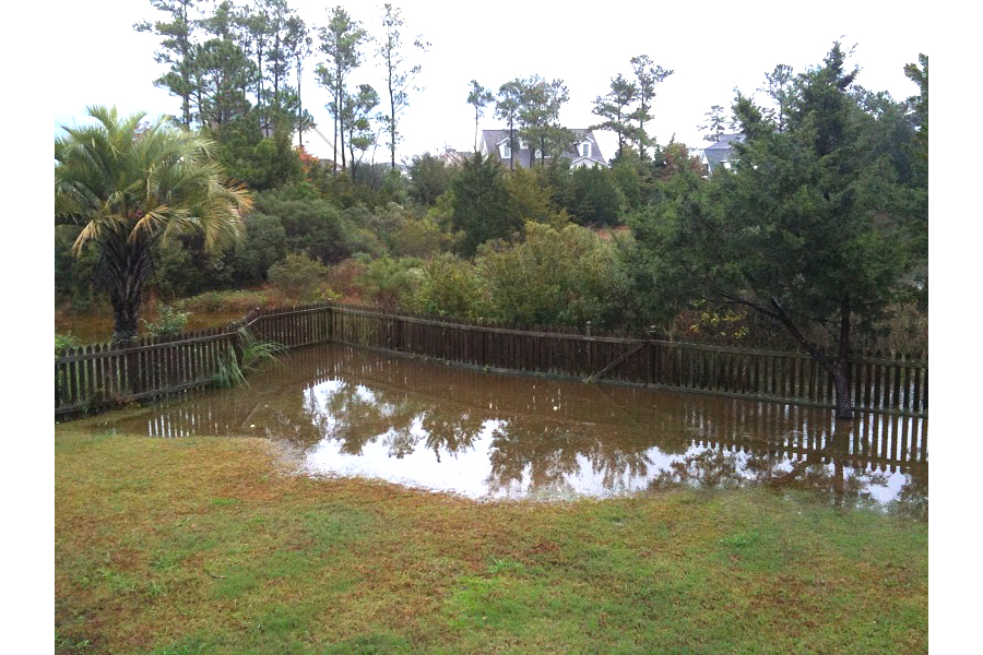 backyard_dec2009