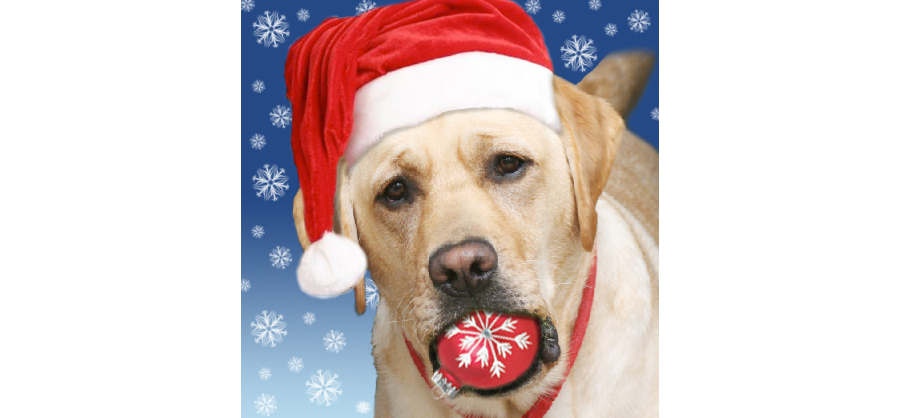 cooperballsantahatsnow_blog